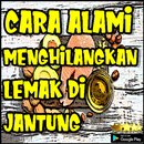 Cara Alami Menghilangkan Lemak Di Jantung APK