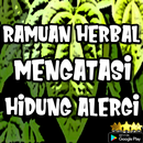 Ramuan Herbal Mengatasi Hidung Alergi APK