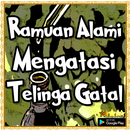 Ramuan Alami Mengatasi Telinga Gatal APK