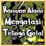Ramuan Alami Mengatasi Telinga Gatal أيقونة