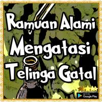 Ramuan Alami Mengatasi Telinga Gatal الملصق