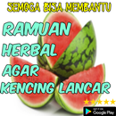 Ramuan Herbal Agar Kencing Lancar APK
