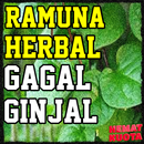Ramuan Herbal Gagal Ginjal APK