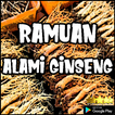 Ramuan Alami Ginseng