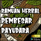 Ramuan Herbal Pembesar Payudara أيقونة