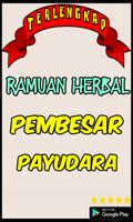 Ramuan Herbal Pembesar Payudara تصوير الشاشة 1