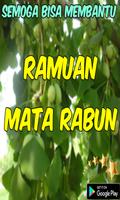 Ramuan Mata Rabun تصوير الشاشة 1