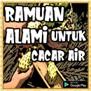 Ramuan Alami Untuk Cacar Air APK