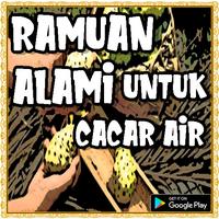 Ramuan Alami Untuk Cacar Air poster