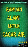 Ramuan Alami Untuk Cacar Air screenshot 3