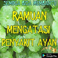 Ramuan Herbal Penyakit Ayan poster