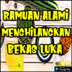 Ramuan Alami Yang Bisa Menghilangkan Bekas Luka
