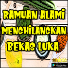 Ramuan Alami Yang Bisa Menghilangkan Bekas Luka icon