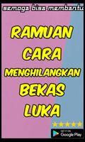 Ramuan Alami Yang Bisa Menghilangkan Bekas Luka screenshot 1