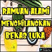 Ramuan Alami Yang Bisa Menghilangkan Bekas Luka screenshot 2