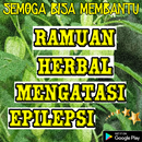 Ramuan Herbal Mengatasi Epilepsi APK