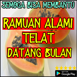 Ramuan Alami Telat Datang Bulan أيقونة