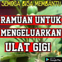 Ramuan Untuk Mengeluarkan Ulat Gigi الملصق