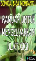 Ramuan Untuk Mengeluarkan Ulat Gigi تصوير الشاشة 3