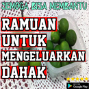 Ramuan Untuk Mengeluarkan Dahak APK