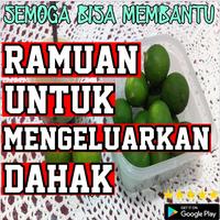 Ramuan Untuk Mengeluarkan Dahak Poster