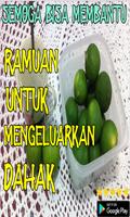 Ramuan Untuk Mengeluarkan Dahak captura de pantalla 1
