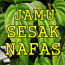 Ramuan Sesak Nafas Paling Manjur Dan Alami APK
