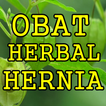 Cara Menyembuhkan Hernia Denga