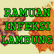 Ramuan Herbal Infeksi Lambung Tradisional Mujarab