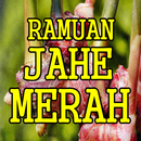 Pengobatan Tradisional Dengan Jahe Merah APK