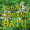 Mengobati Kencing Batu Dengan Ramuan Tradisional APK