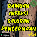 Ramuan Herbal Infeksi Saluran Pencernaan APK