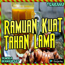 Ramuan kuat tahan lama APK