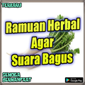 Ramuan Herbal Agar Suara Bagus