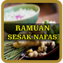 Ramuan Tradisional Obat Untuk Sesak Nafas APK