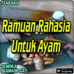 Terlengkap Ramuan Rahasia Untuk Ayam