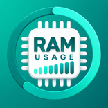 RAM Usage Widget