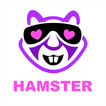 Hamster Video Chat-Adult chat
