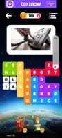 WordBlox Screenshot 2