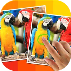 download Tap 5 Differences - Italiano APK