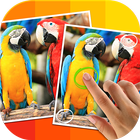 Tap 5 Differences icono