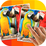 Tap 5 Differences APK