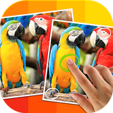 Tap 5 Differences icono