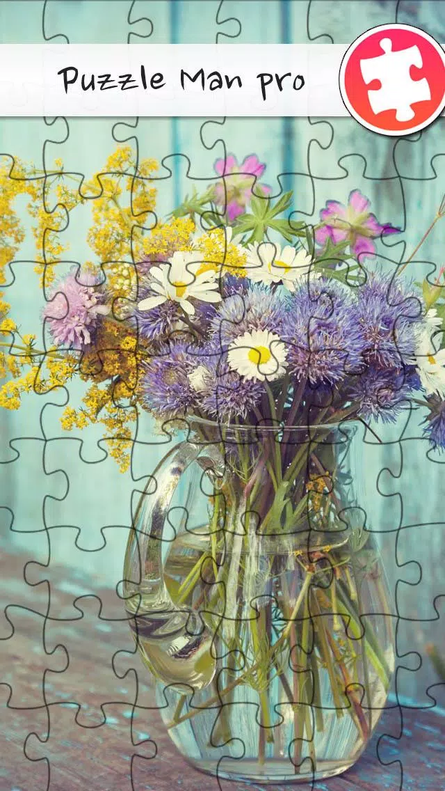 Jigsaw Puzzle Man Pro APK for Android Download