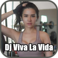 Dj Viva La Vida