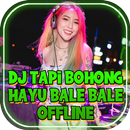 DJ Tapi Bohong Hayu bale bale OFFLINE APK