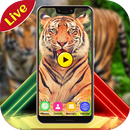 Tiger Live Wallpaper-Video Wallpaper APK