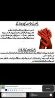 Urdu Beauty Tips capture d'écran 2