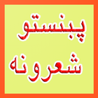 Pashto Shairi 图标