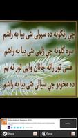 Pashto Shairi 截图 1